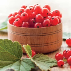 Pas Cher Jard Essy Magasin -Pas Cher Jard Essy Magasin 71046 3