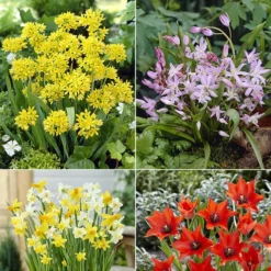 Pas Cher Jard Essy Magasin -Pas Cher Jard Essy Magasin MON 031436 2 1706797900523