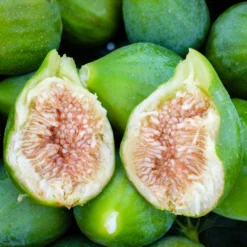 Pas Cher Jard Essy Magasin -Pas Cher Jard Essy Magasin ado 103517 2 scaled